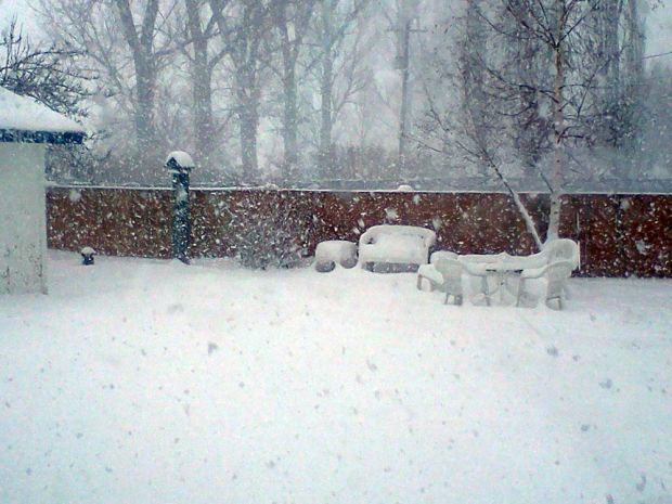 Snowy Yard